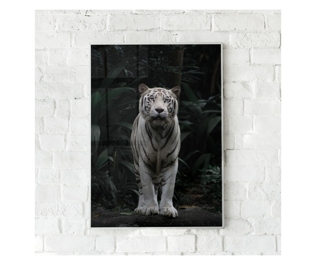 Plakat w ramce, White Tiger, 60x40 cm, biała ramka