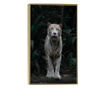 Plakat w ramce, White Tiger, 80x60 cm, złota rama
