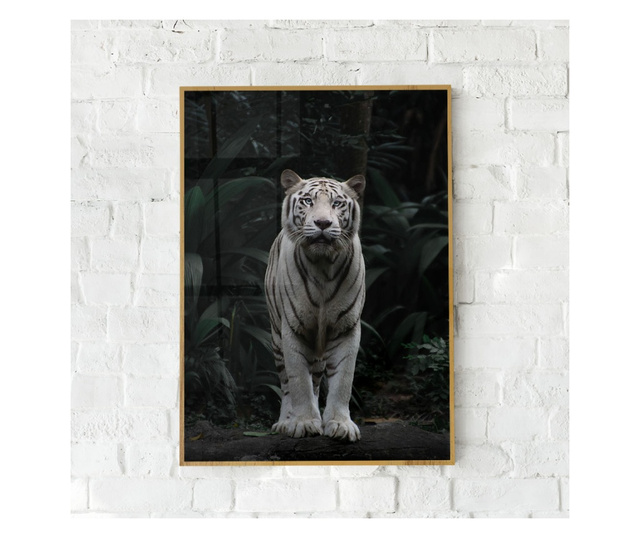 Plakat w ramce, White Tiger, 80x60 cm, złota rama