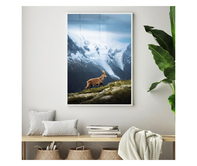 Plakat w ramce, Wild Goat, 21 x 30 cm, biała ramka