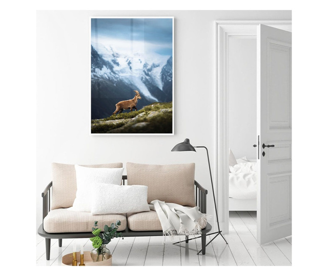 Plakat w ramce, Wild Goat, 21 x 30 cm, biała ramka