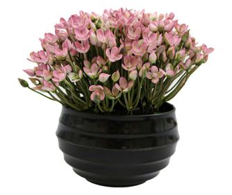 Virágcserép, rózsaszín, műanyag, 16Cm