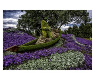 Samoljepljivi i perivi zidni fototapeta Park s ljubičicama, 250 x 150 cm