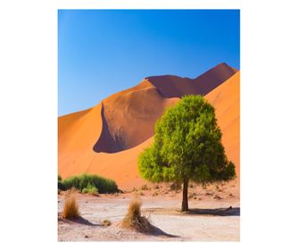 Самозалепващи и миещи се тапети за стена Natura93, 150 х 205 см