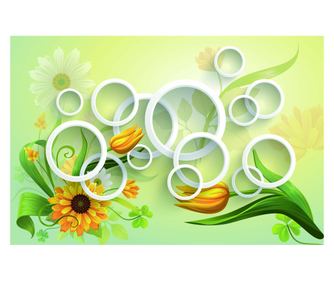 Öntapadó és mosható falfestmény Százszorszépek és körök, 300 x 200 cm