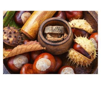 Samoljepljiva i periva tapeta za zid Compozitie23, 200 x 150 cm