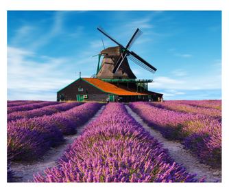 Samolepilna in pralna tapeta Lavanda8, 250 x 150 cm