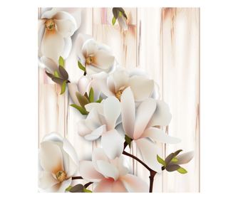 Fototapeta za zidove samoljepljiva i praljiva Abstract floral2, 300 x 200 cm
