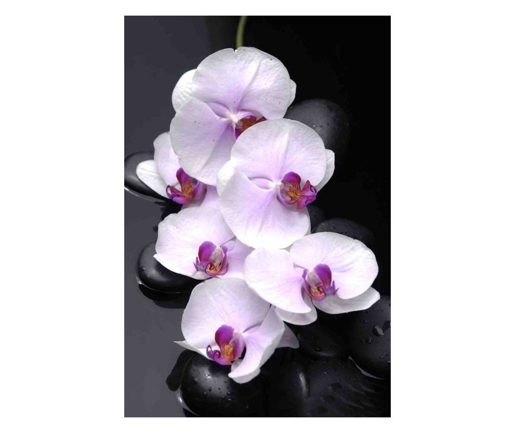 Τοιχογραφία Λευκές ορχιδέες με πέτρες, 200 x 150 εκ