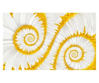 Nalepka za fototapete Spirale albe, 250 x 200 cm