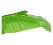 Umjetna banana s loncem, zelena, 300 cm thumbnail 4