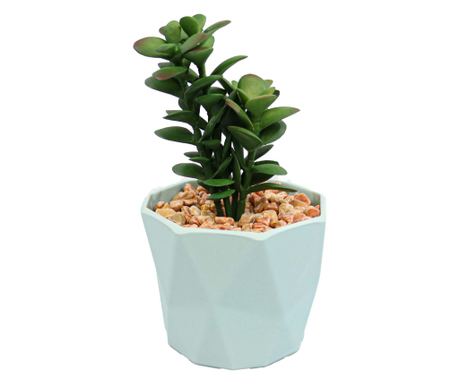 Cserepes zamatos növény, szürke, műanyag, 16cm