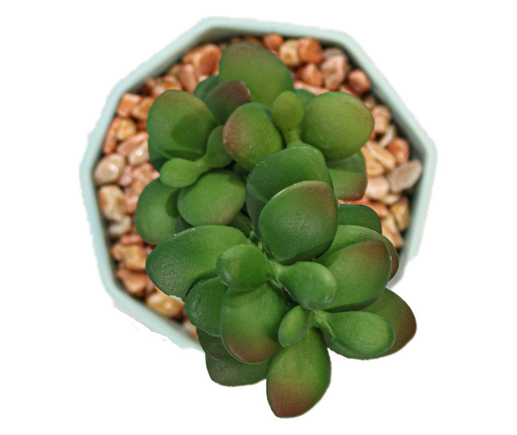 Cserepes zamatos növény, szürke, műanyag, 16cm - 2