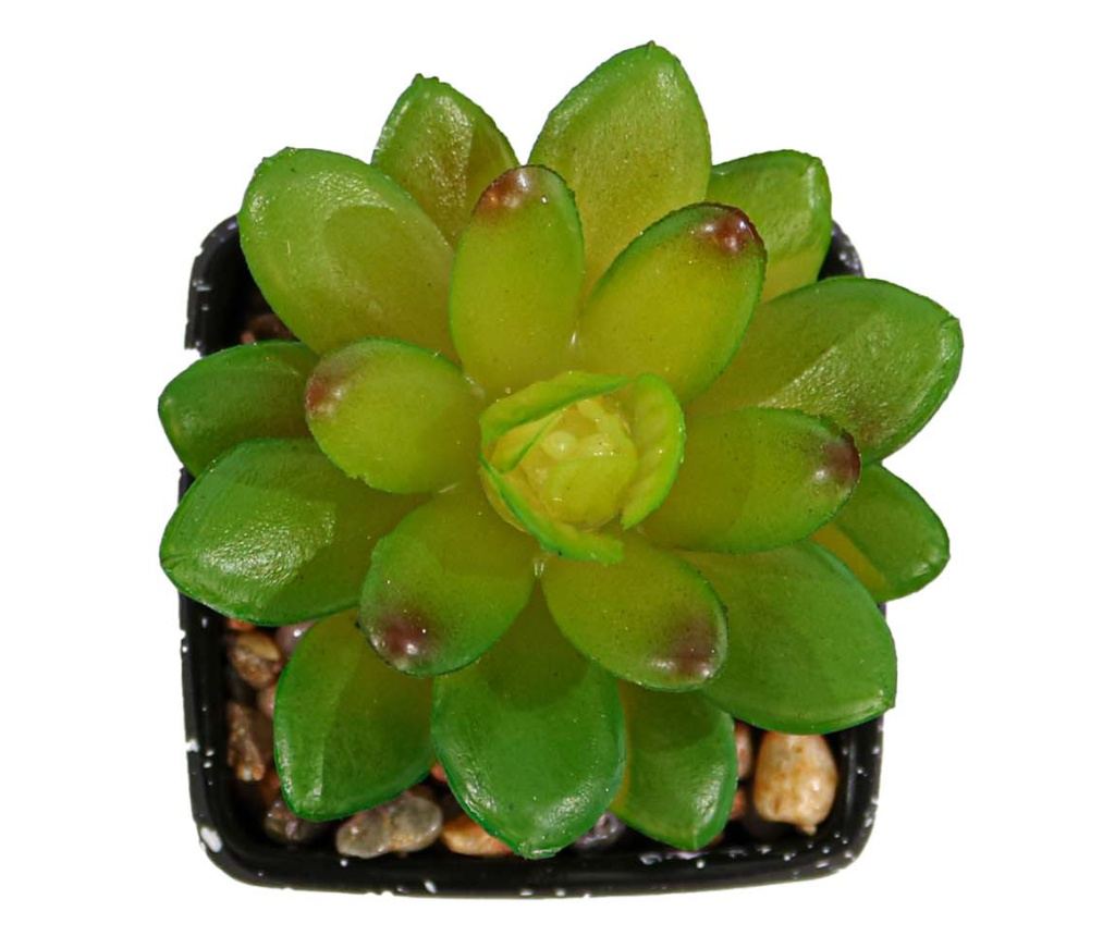 Mesterséges zamatos növény, zöld, műanyag, 9cm - 3