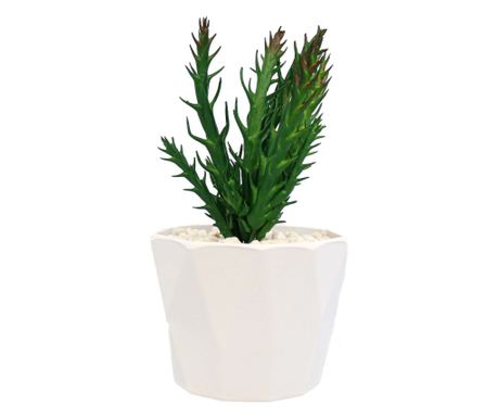 Cserepes zamatos növény, lila, műanyag, 18cm