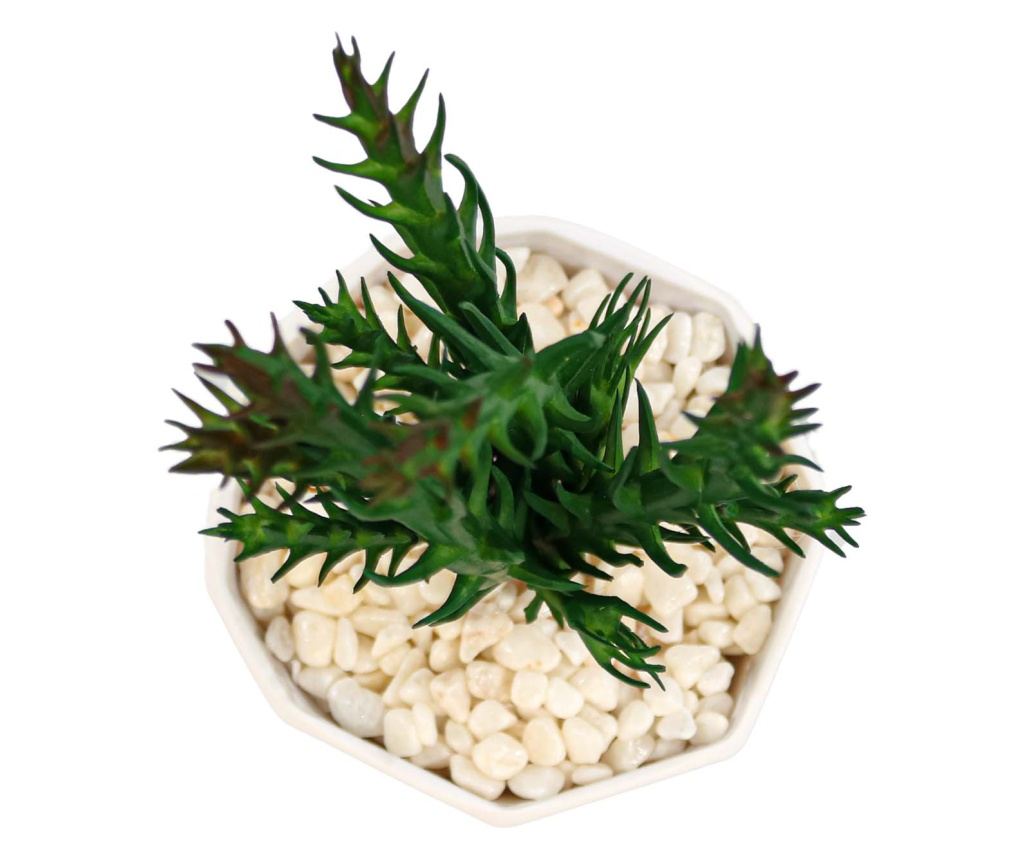 Cserepes zamatos növény, lila, műanyag, 18cm - 2