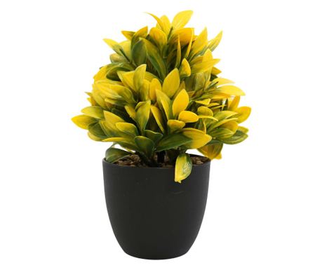 Növénytartó elrendezés, zöld, műanyag, 21cm