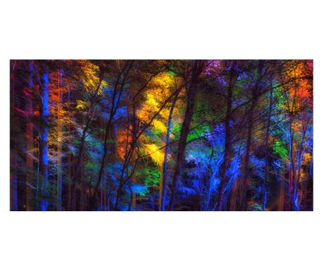 Samolepilna in pralna stenska nalepka Mavrica v gozdu, 400 x 250 cm