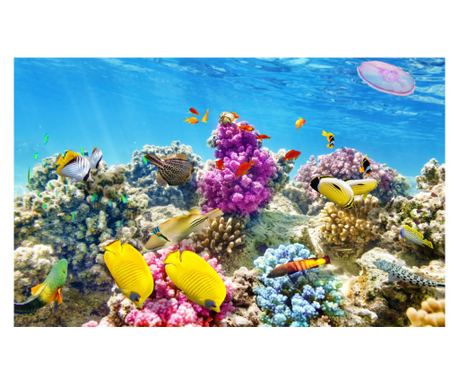 Podvodni svijet 4 Zidna tapeta, 400 x 250 cm