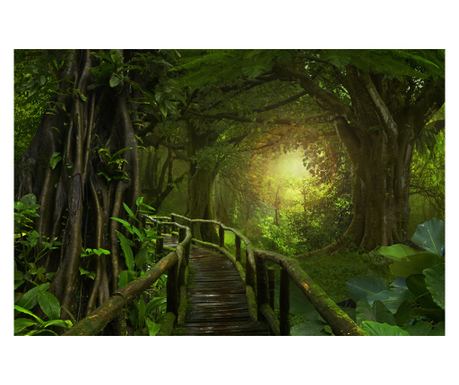 Samolepilna in pralna stenska nalepka Džungla svetloba, 400 x 250 cm