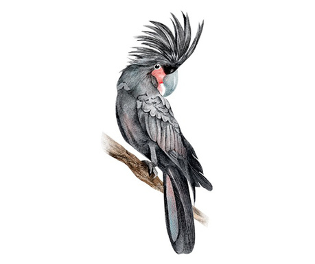 Sticker decorativ Papagal Palm Parrot, Negru, 85 cm, 3705ST