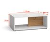 Klubska mizica  110x41x60 cm