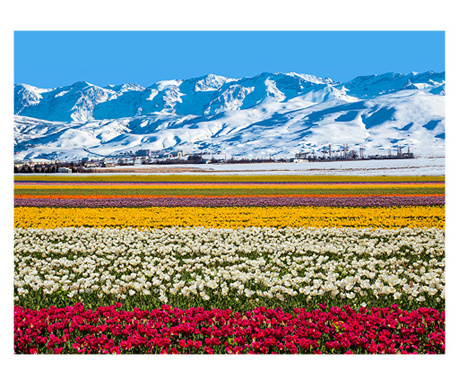 Самозалепващ тапет Цветя и планини, 200 х 150 см