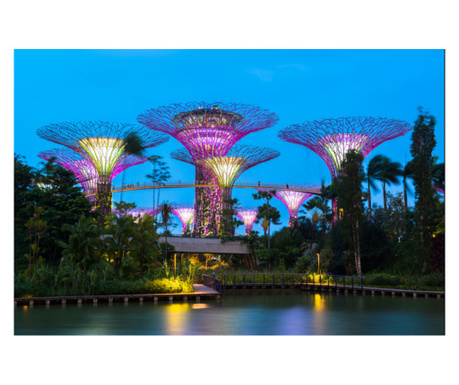 Tapéta Park Singapore 4, 250 x 150 cm