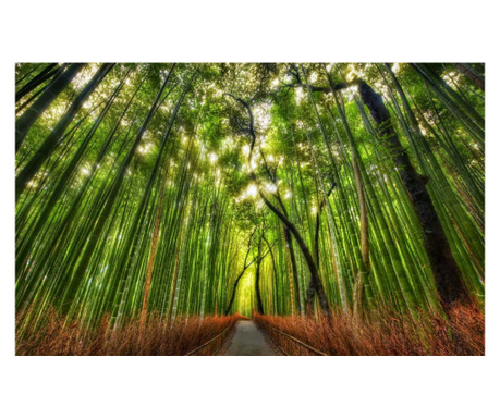 Utazási tapéta a bambusz erdőben, 250 x 150 cm