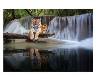 Fototapeta Vodopad Tigar Priroda Pejzaž 312x219 cm, Vlies Tapeta, Dekorativna, Zid, Dnevni boravak