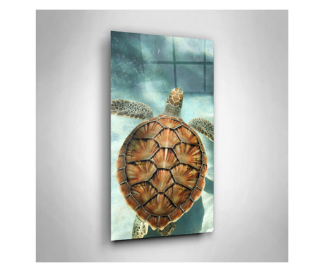 Tablou Sticla, Water Tortoise, 60x100cm