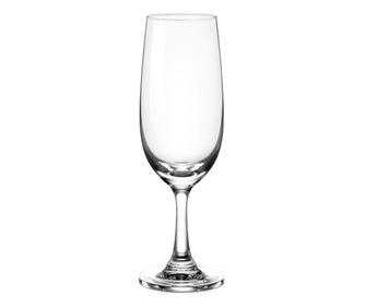 OCEAN SOCIETY Set 6 pahare pentru sampanie, 190ml, D5,7xh18,4cm, sticla