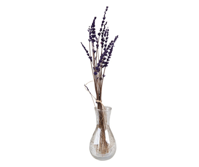 Prozirna staklena vaza za cvijeće 8x15 cm