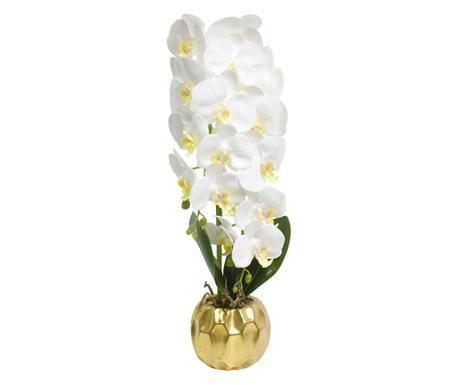 Orhidee cu aspect natural in ghiveci ceramic, 60 cm, Naimeed D4854, Alb