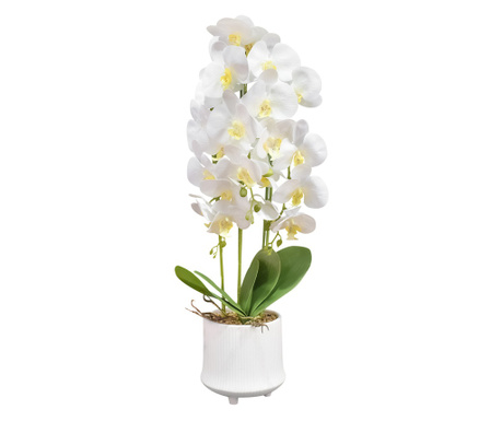 Orhidee cu aspect natural in ghiveci ceramic, 70 cm, Naimeed D4855, Alb