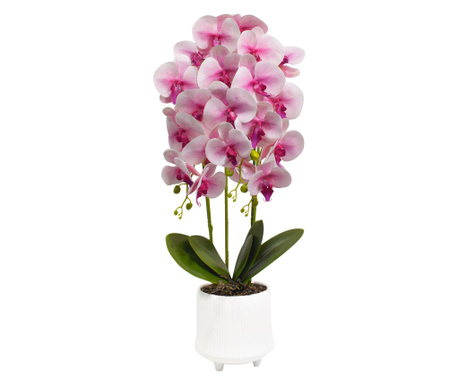 Orhidee cu aspect natural in ghiveci ceramic, 70 cm, Naimeed D4855, Roz