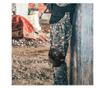 IdeallStore® védőkészlet, Tactical Gear, térdvédők és kartámaszok, nejlon, univerzális méret, fekete
