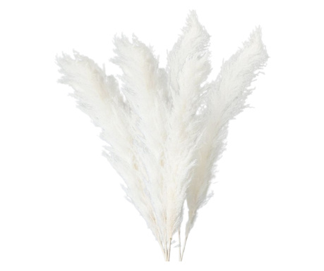 Set 5 plante naturale uscate pampas, 120 cm, alb, Ambienture