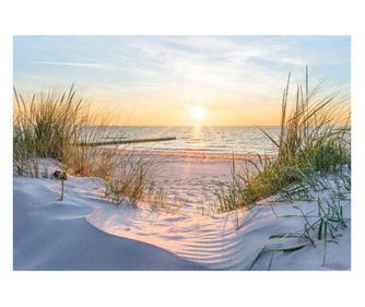 Fototapeta Plaža Morske dine 312x219 cm, Vlies Tapeta, Dekorativna, Zid, Dnevni boravak