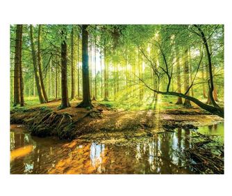 Fototapeta Priroda Šuma Magla 254x184 cm, Vlies Tapeta, Dekorativna, Zid, Dnevni boravak