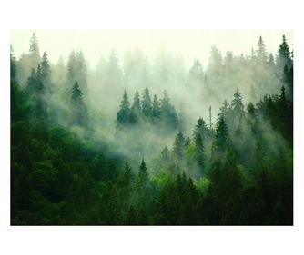 Fototapeta Šuma Magla Priroda 368x254 cm, Vlies Tapeta, Dekorativna, Zid, Dnevni boravak
