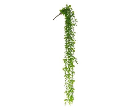 Sada 4 zelených umělých rostlin 105 cm