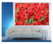 Laminirana samolepilna tapeta Tulipani29 - 100 x 150 cm - Deko Interior Concept