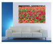 Laminirana samolepilna tapeta Tulipani56 - 225 x 150 cm - Deko Interior Concept