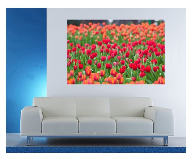 Laminirana samolepilna tapeta Tulipani56 - 225 x 150 cm - Deko Interior Concept