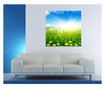 Laminirana samolepilna tapeta Narava28100 - 100 x 100 cm - Deko Interior Concept