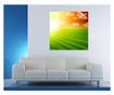Laminirana samolepilna tapeta Narava43100 - 100 x 100 cm - Deko Interior Concept