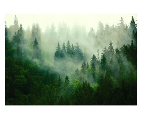 Fototapeta Šuma Magla Priroda 312x219 cm, Vlies Tapeta, Dekorativna, Zid, Dnevni boravak