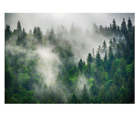 Fototapeta Gozd Megla Narava Drevesa 416x254 cm, Vlies Tapeta, Dekorativna, Stena, Dnevna Soba