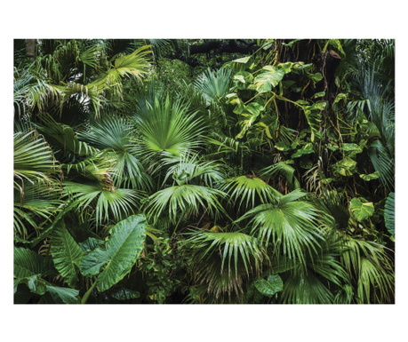 Fototapet Jungla Padure tropicala 416x254 cm, Vlies Tapet, Decorativ, Perete, Living